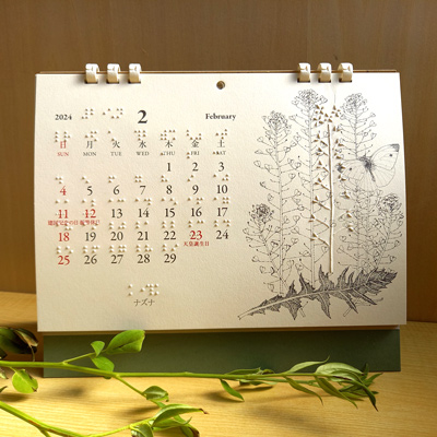 2024年 ユニバーサルデザインカレンダー「五感で楽しむ植物」 2月のイラスト（ナズナ）